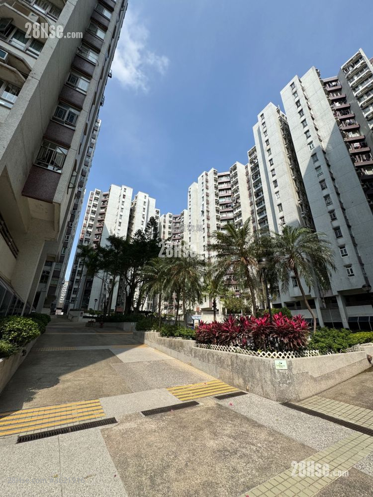 Whampoa Garden Sell 3 Bedrooms , 2 Bathrooms 680 ft² Whampoa Garden Sell 3 Bedrooms , 2 Bathrooms 680 ft²