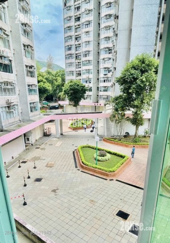 Wah Ming Est Sell 1 Bathroom 385 ft² Wah Ming Est Sell 1 Bathroom 385 ft²