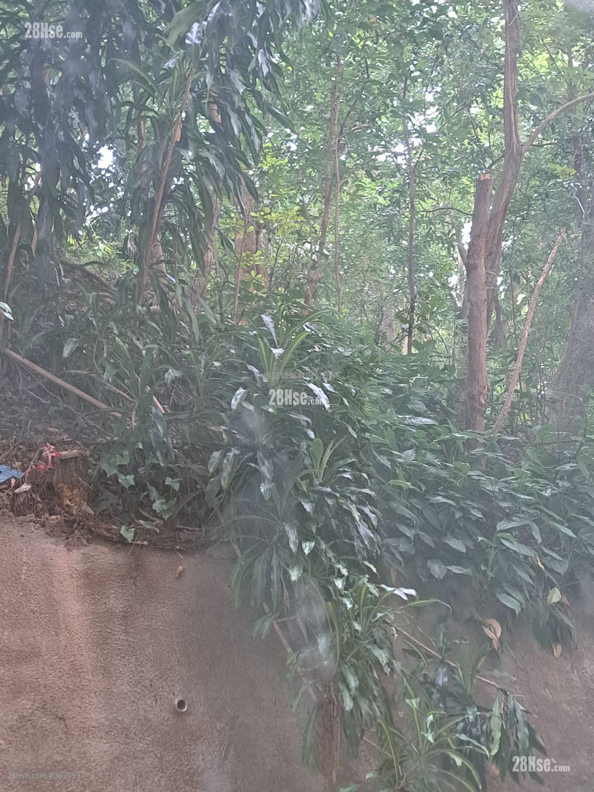 太成樓 租盤 2 房 , 1 浴室 312 平方呎 太成樓 租盤 2 房 , 1 浴室 312 平方呎