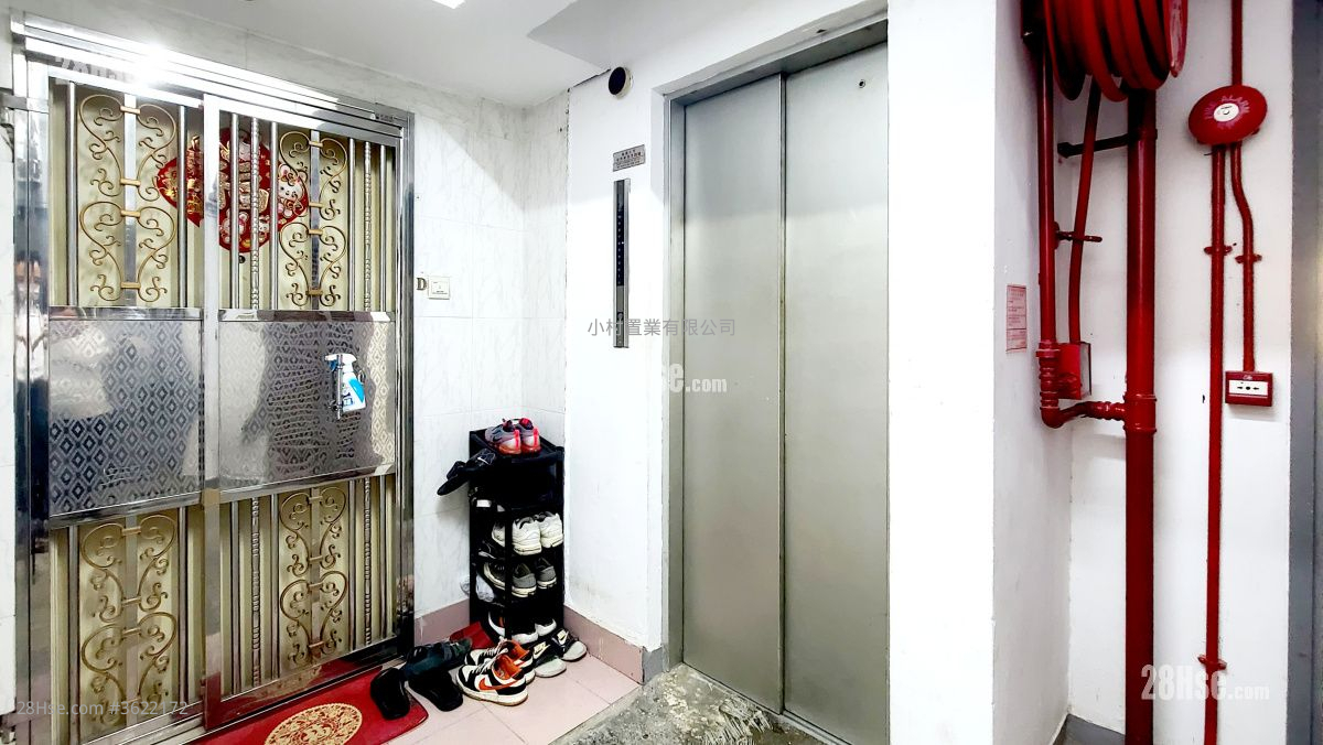 其它: Elevator 其它: Elevator