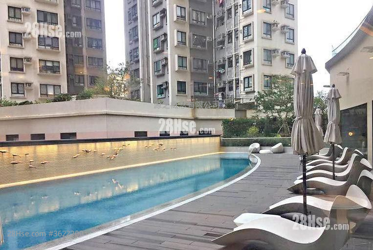 Upper East Sell Studio , 1 Bathroom 216 ft² Upper East Sell Studio , 1 Bathroom 216 ft²