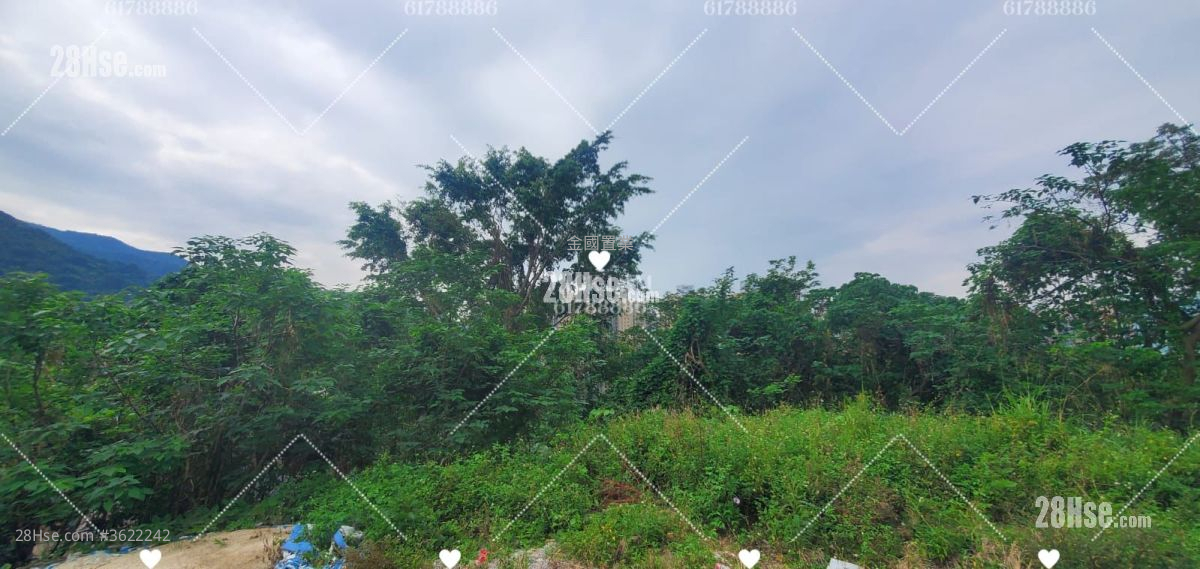 Fa Sam Hang Village Rental 3 Bedrooms , 2 Bathrooms 700 ft² Fa Sam Hang Village Rental 3 Bedrooms , 2 Bathrooms 700 ft²