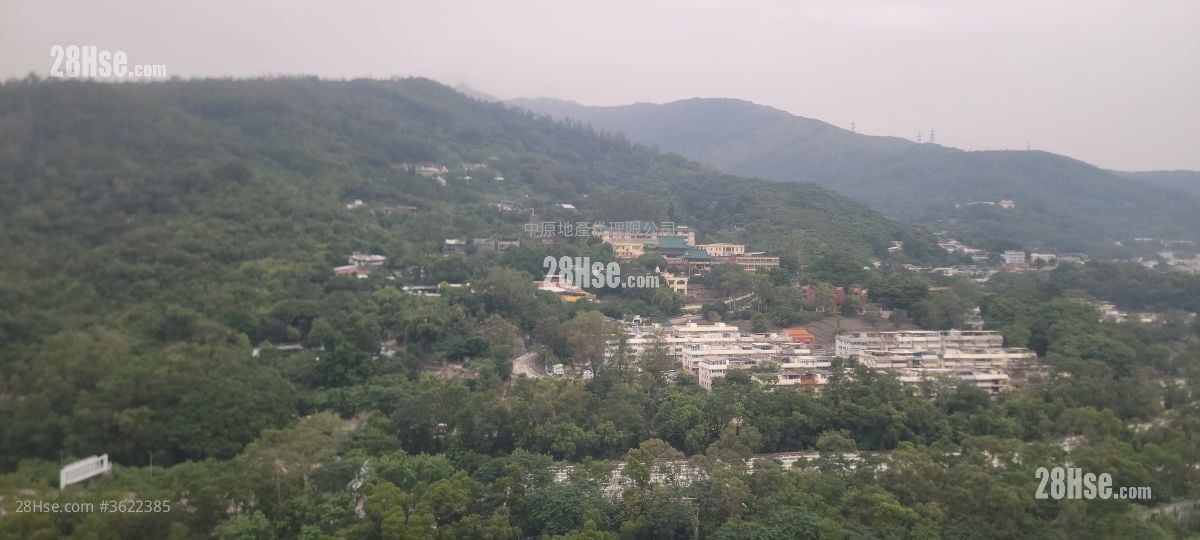 南豐中心 租盤 南豐中心 租盤