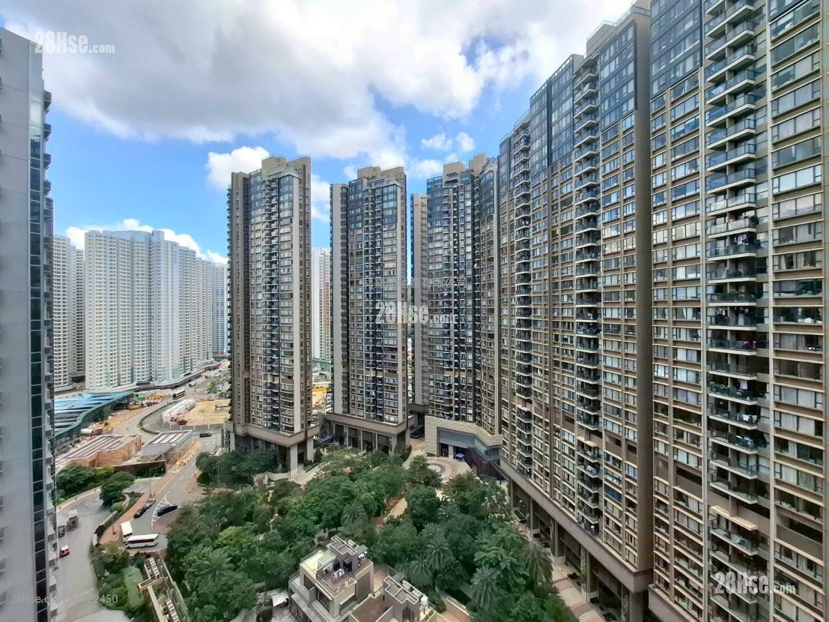 Century Link Rental 1 Bedroom 379 ft² Century Link Rental 1 Bedroom 379 ft²