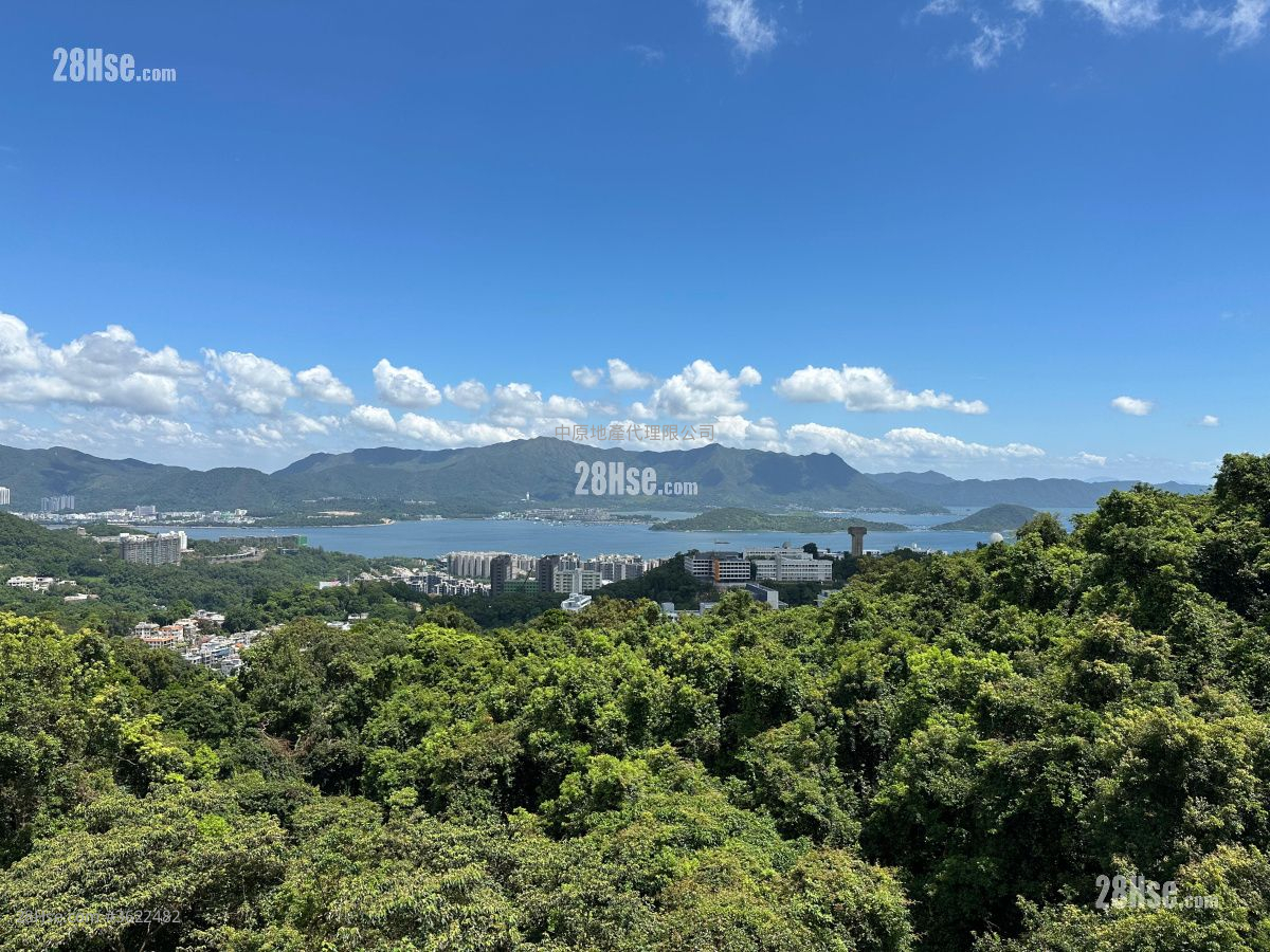 La Vetta Sell 4 Bedrooms , 5+ Bathrooms 2,100 ft² La Vetta Sell 4 Bedrooms , 5+ Bathrooms 2,100 ft²