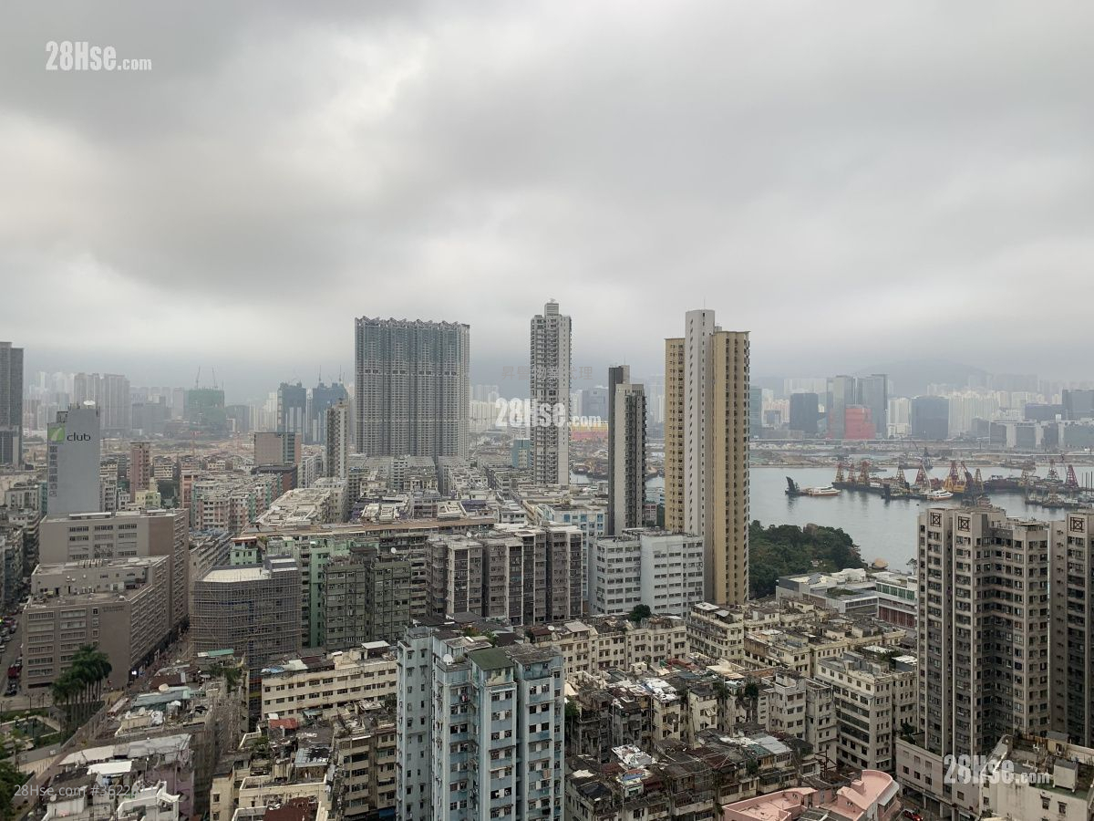 Axis Rental Studio 212 ft² Axis Rental Studio 212 ft²