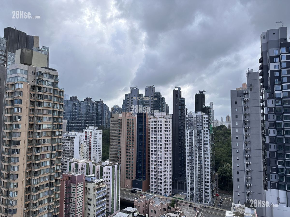 啟岸 租盤 開放式間隔 196 平方呎 啟岸 租盤 開放式間隔 196 平方呎