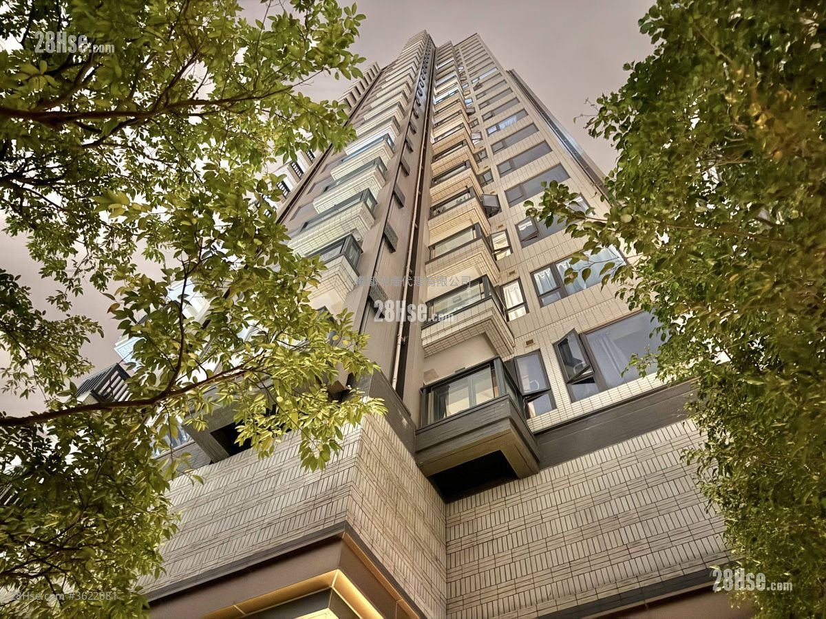 Downtown 38 租盤 1 房 , 1 浴室 304 平方呎 Downtown 38 租盤 1 房 , 1 浴室 304 平方呎