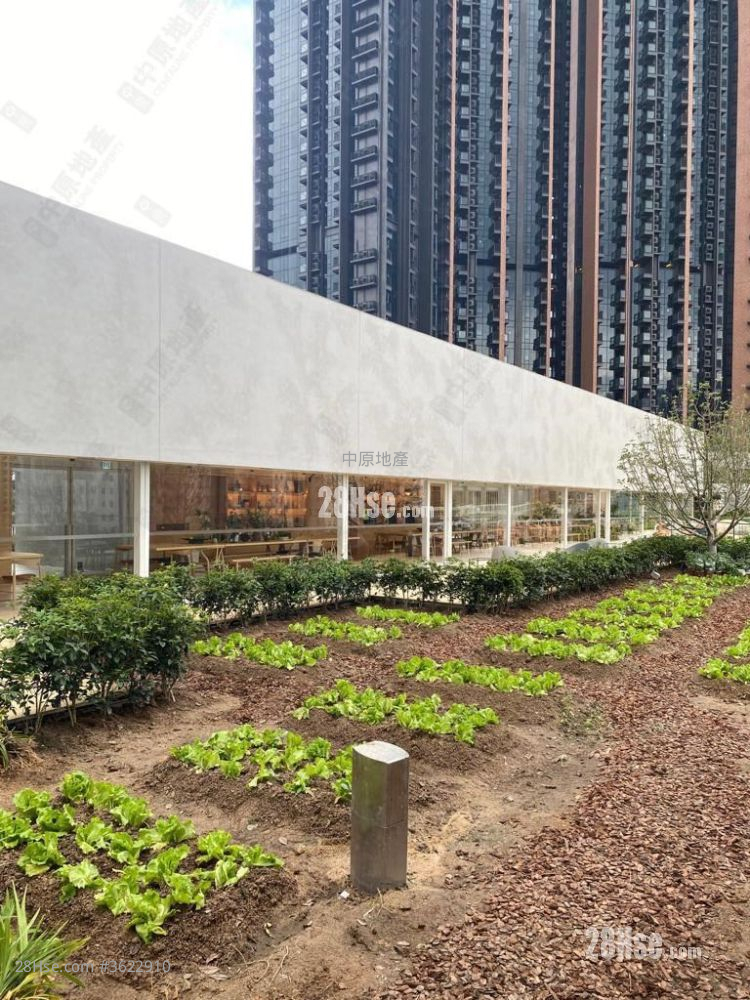 柏傲莊 租盤 2 房 , 1 浴室 452 平方呎 柏傲莊 租盤 2 房 , 1 浴室 452 平方呎