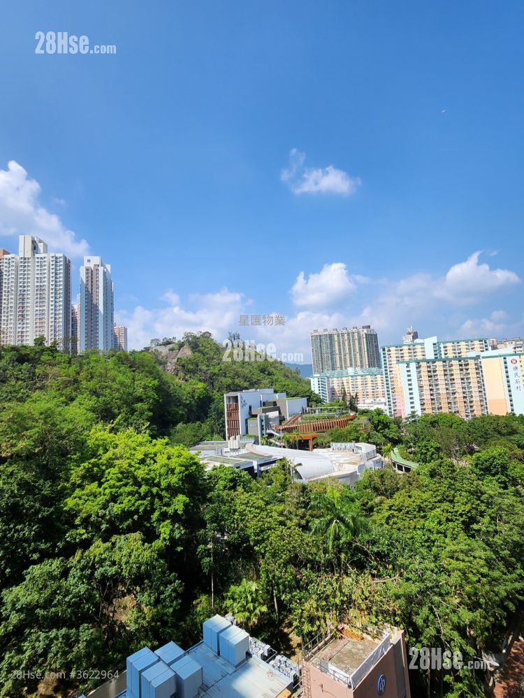 Alpine 18 Rental Studio , 1 Bathroom 225 ft² Alpine 18 Rental Studio , 1 Bathroom 225 ft²