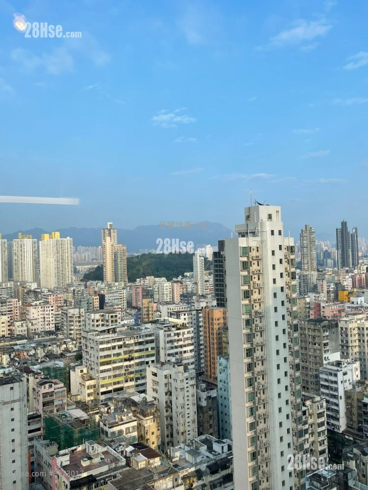 Seaside Sonata Rental 2 Bedrooms , 1 Bathroom 507 ft² Seaside Sonata Rental 2 Bedrooms , 1 Bathroom 507 ft²