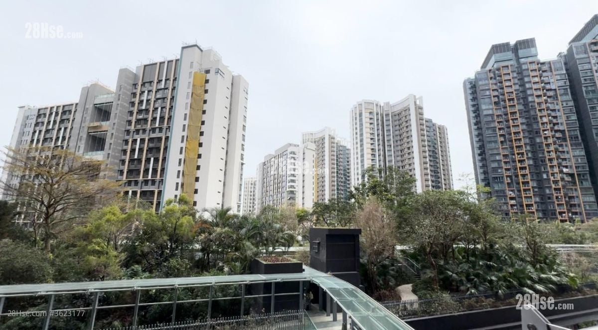 迎海 租盤 3 房 , 1 浴室 512 平方呎