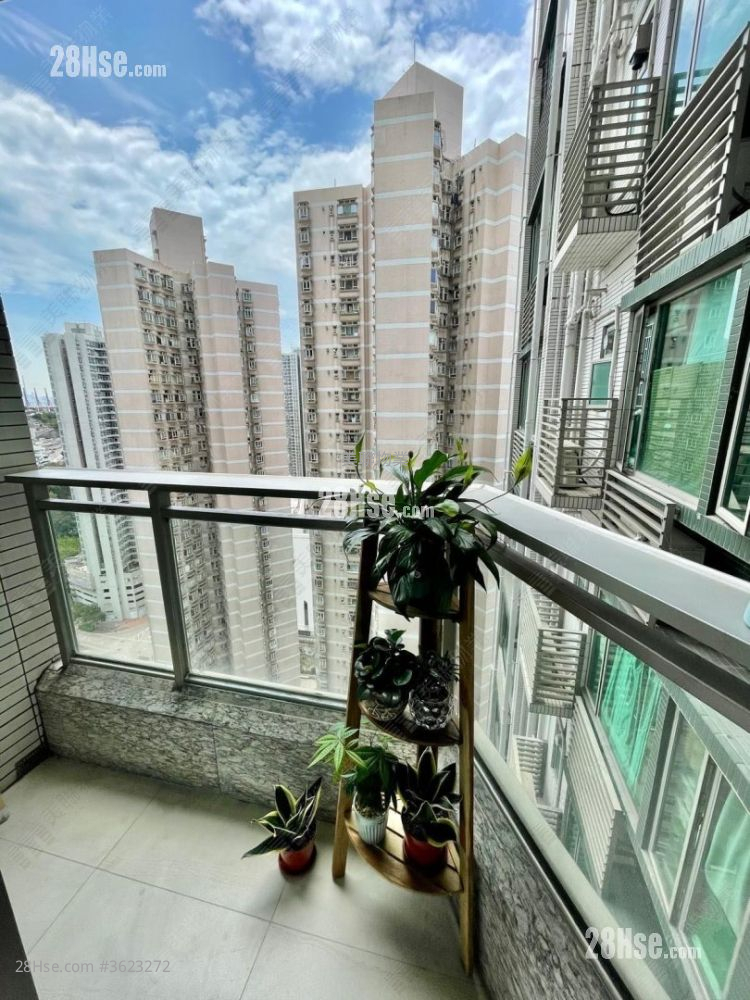 City Point Rental 2 Bedrooms , 1 Bathroom 502 ft² City Point Rental 2 Bedrooms , 1 Bathroom 502 ft²