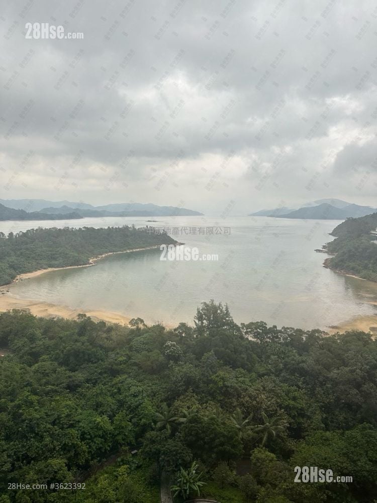 Double Cove Sell 2 Bedrooms , 1 Bathroom 564 ft² Double Cove Sell 2 Bedrooms , 1 Bathroom 564 ft²