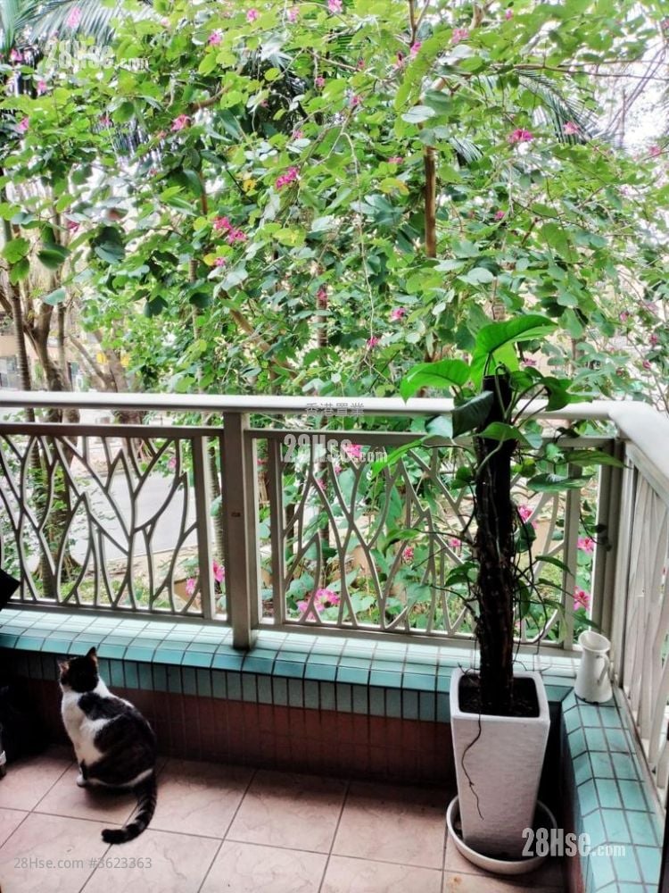 Park Island Sell 2 Bedrooms , 1 Bathroom 549 ft²