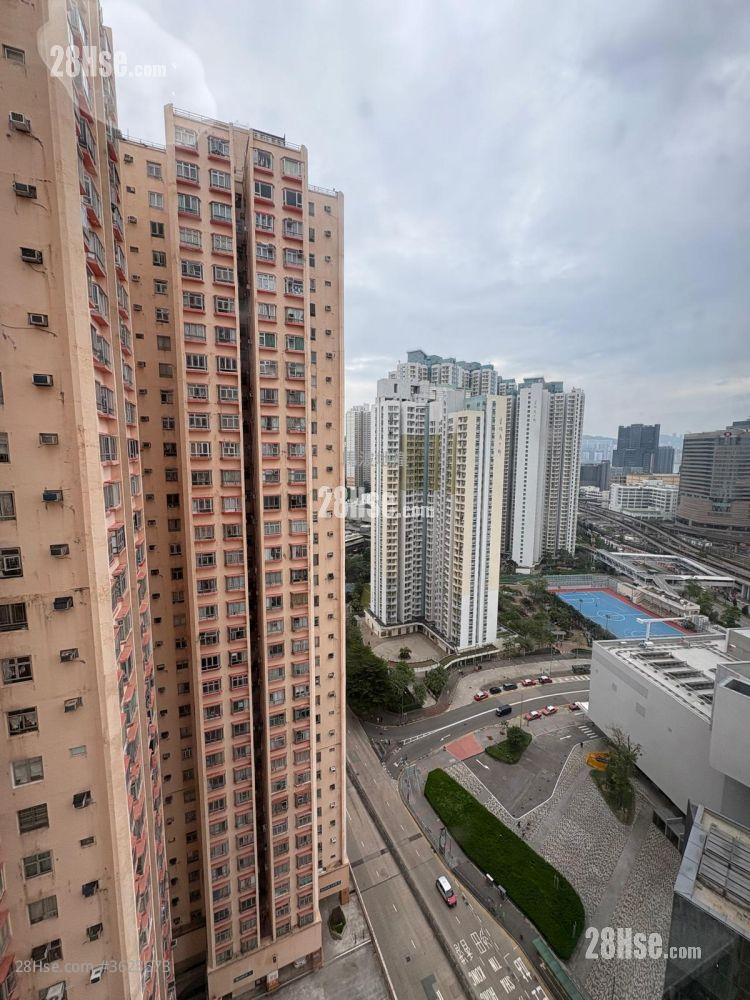 Amoy Gardens Rental 2 Bedrooms , 1 Bathroom 375 ft² Amoy Gardens Rental 2 Bedrooms , 1 Bathroom 375 ft²