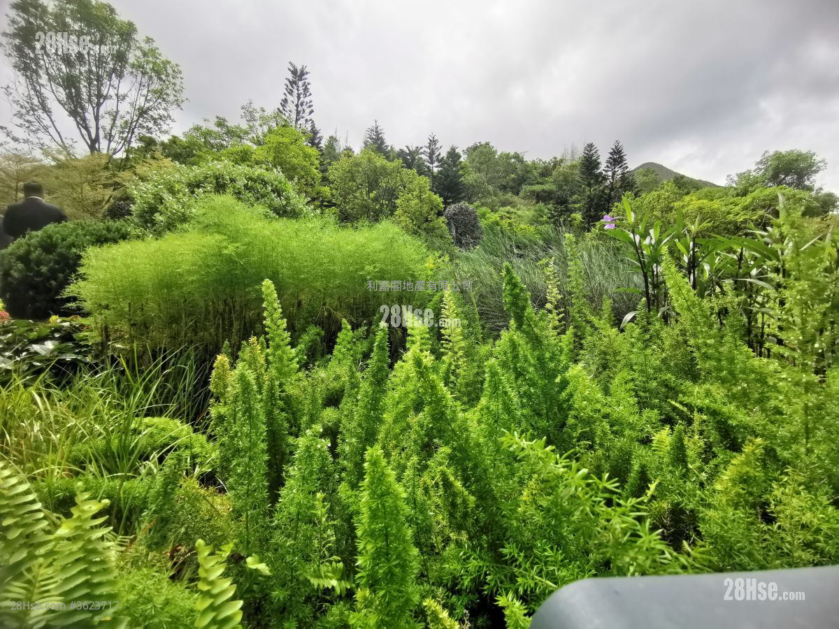 瓏珀山 租盤 3 房 , 2 浴室 974 平方呎 瓏珀山 租盤 3 房 , 2 浴室 974 平方呎