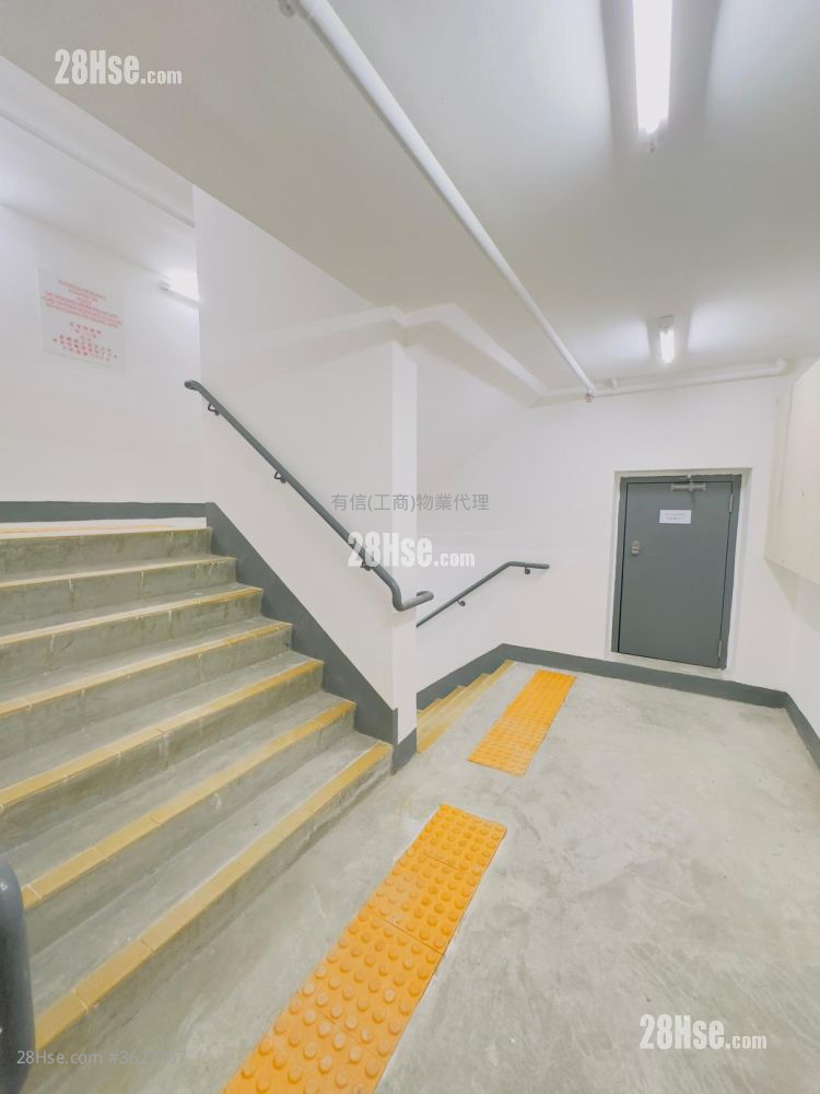 Dr. Kong Centre Rental 2 Toilets Dr. Kong Centre Rental 2 Toilets