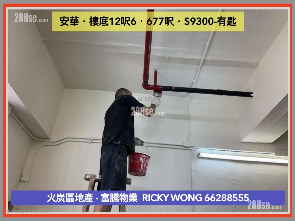 安華工業大廈 租盤 開放式間隔 , 1 廁所 安華工業大廈 租盤 開放式間隔 , 1 廁所