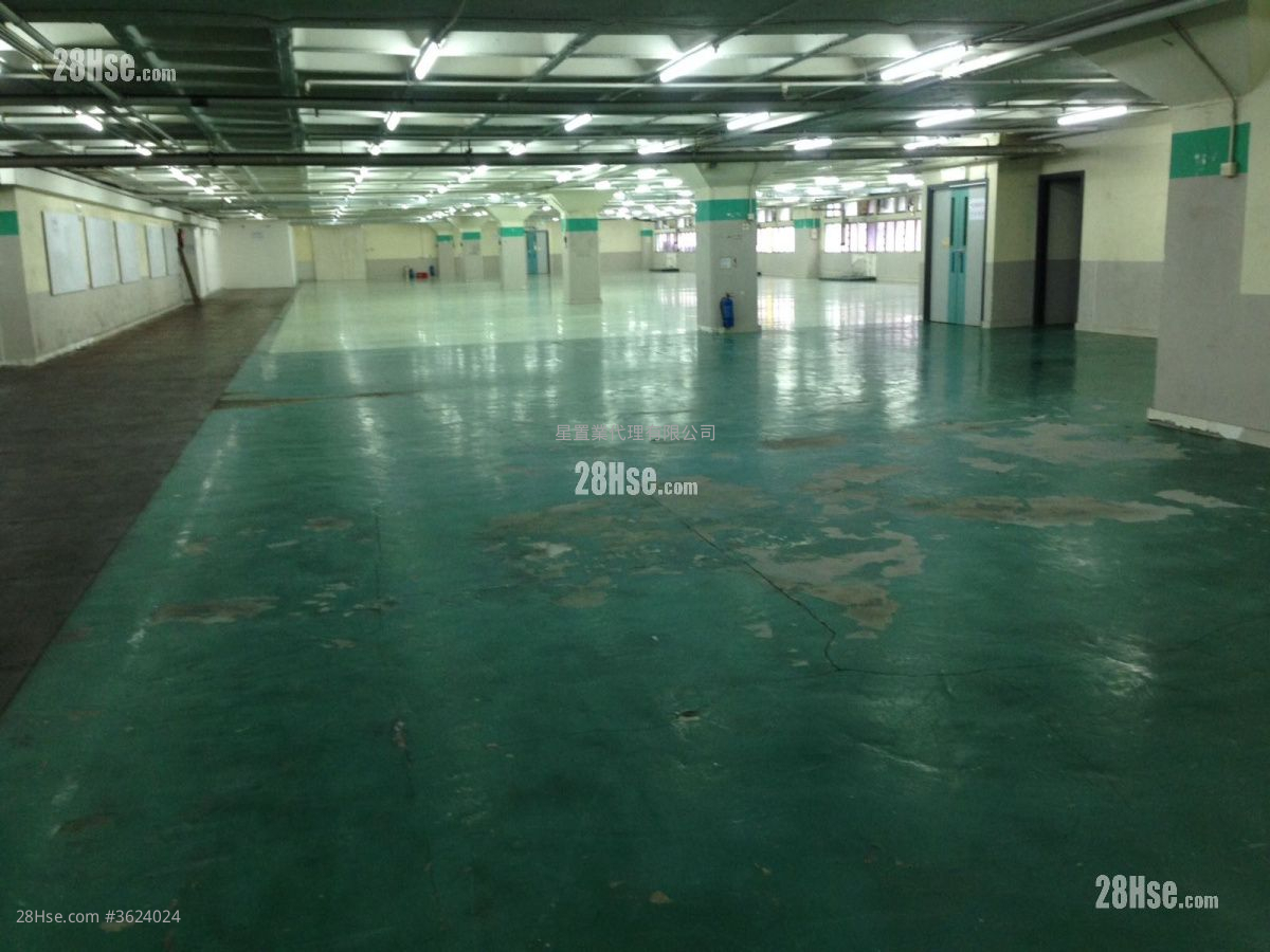 葵涌大倉 租盤 葵涌大倉 租盤