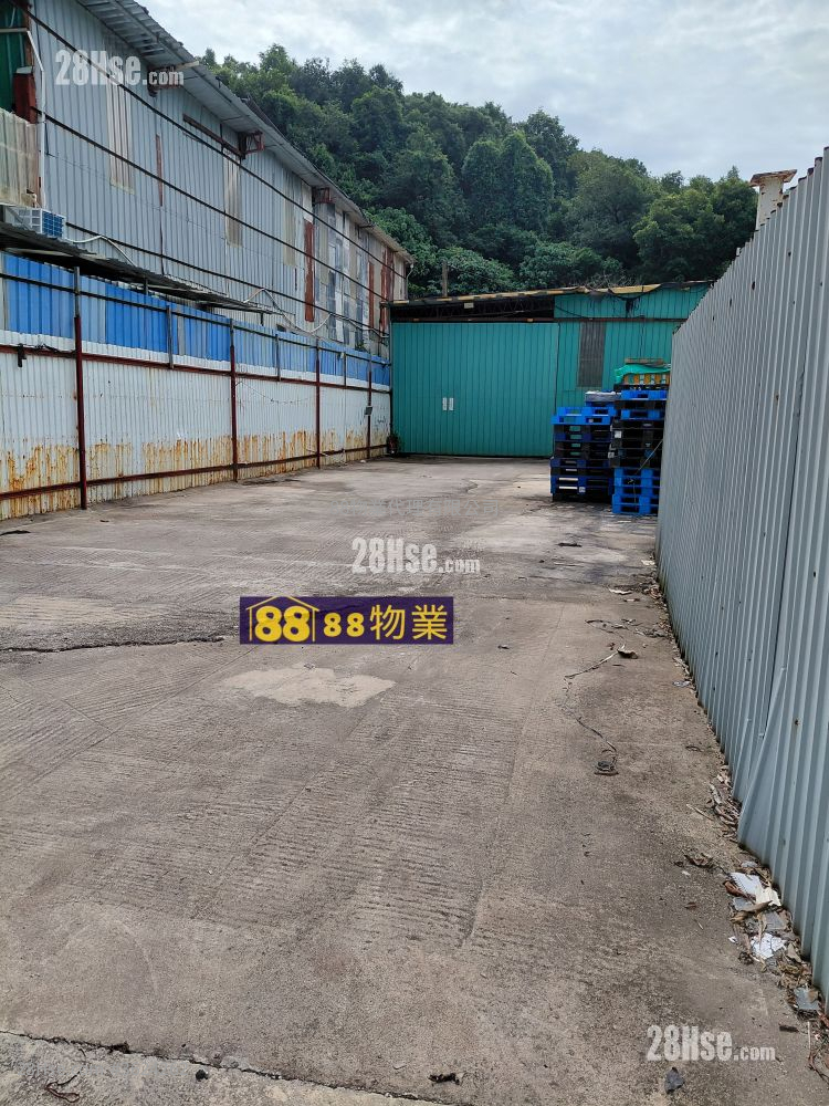 Fanling  Main Road Rental Fanling  Main Road Rental