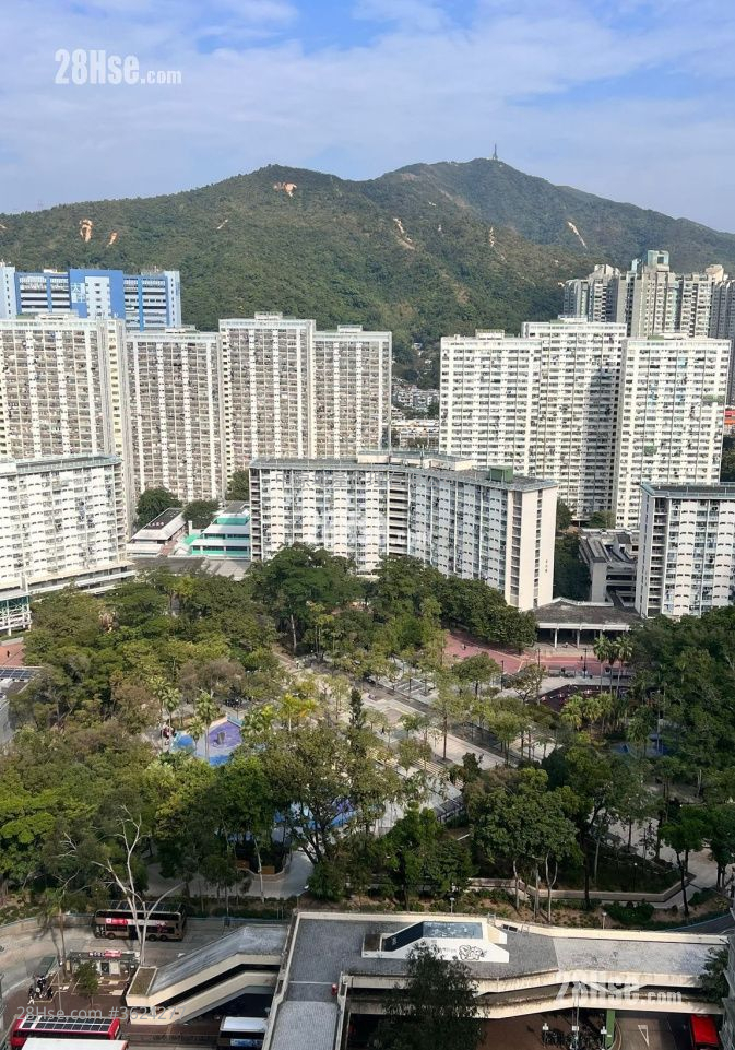 大埔中心 售盤 1 房 409 平方呎 大埔中心 售盤 1 房 409 平方呎