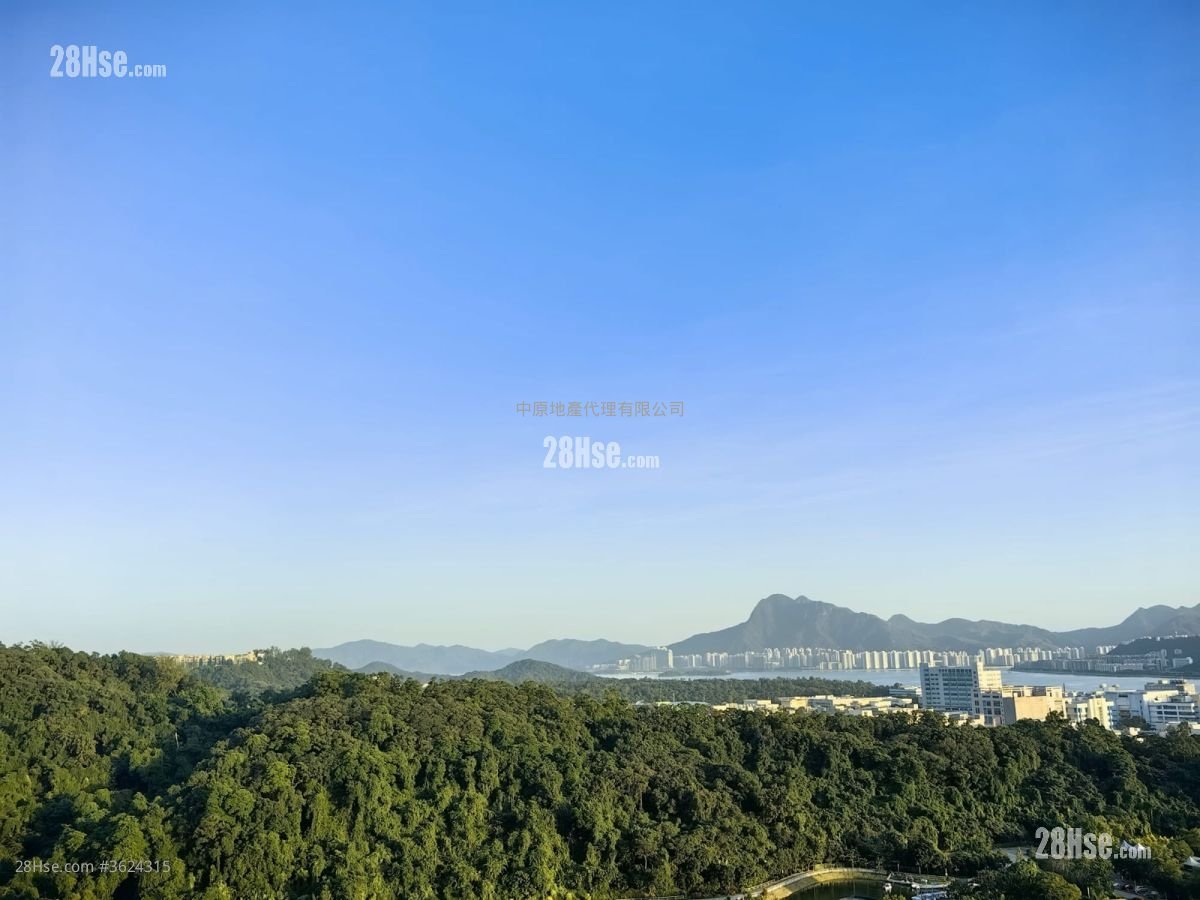 嵐山 售盤 3 房 834 平方呎