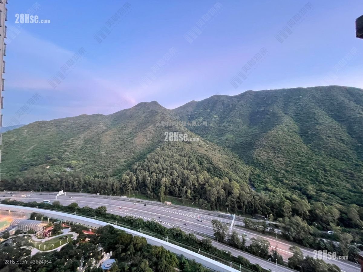 映灣園 租盤 647 平方呎