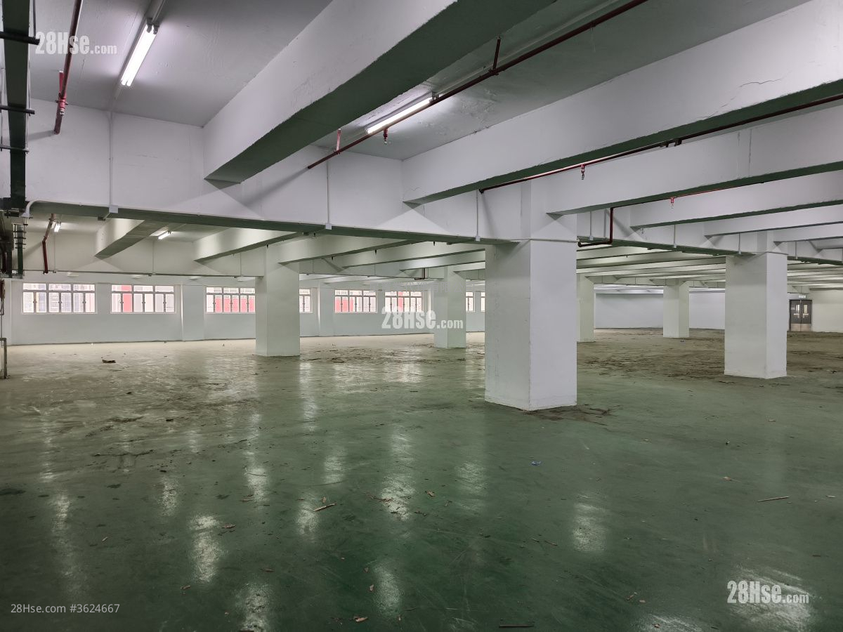 貨倉大廈 租盤 貨倉大廈 租盤