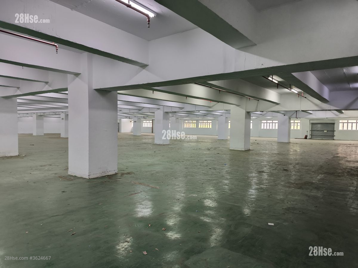 貨倉大廈 租盤 貨倉大廈 租盤