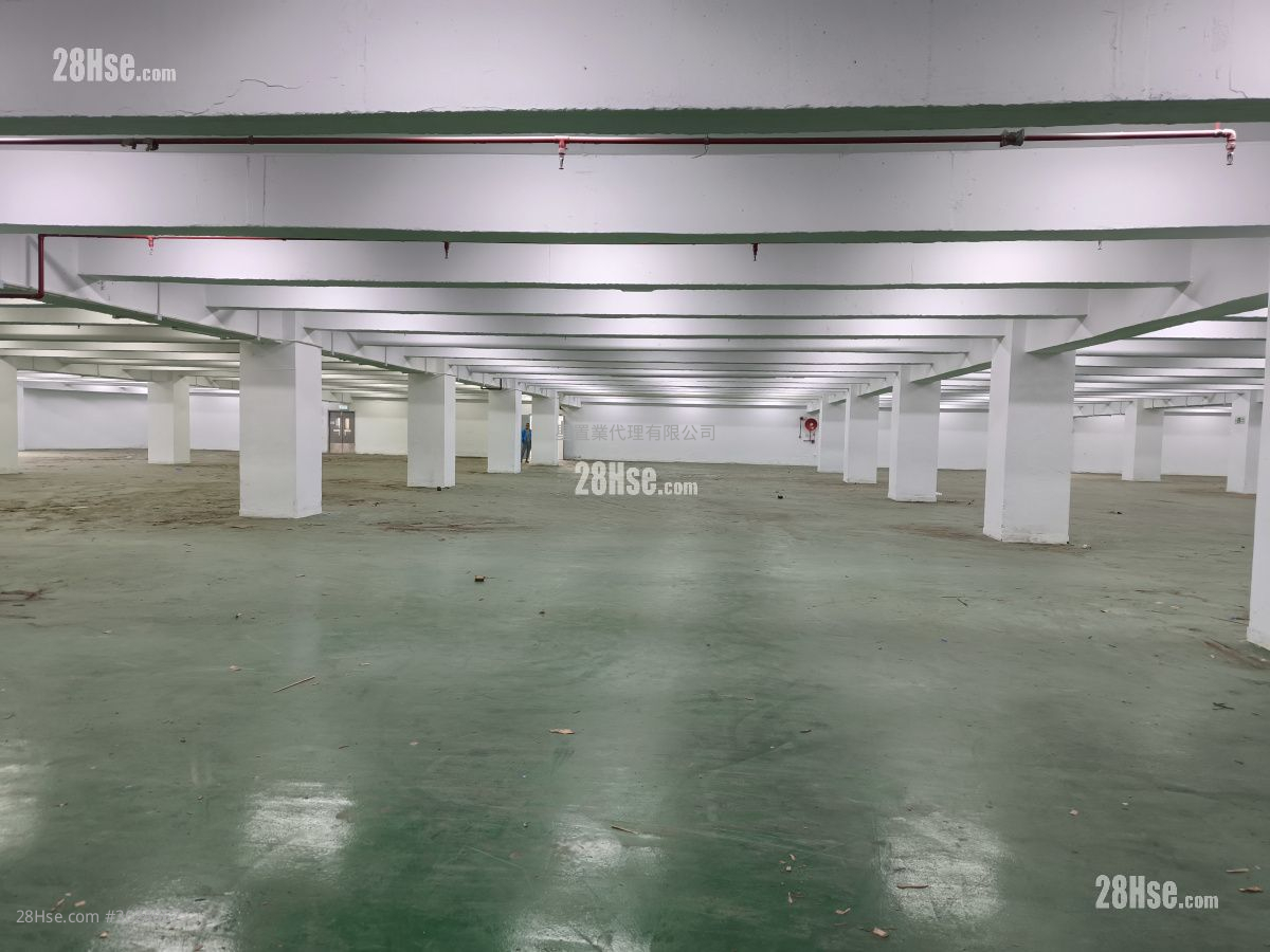 貨倉大廈 租盤 貨倉大廈 租盤