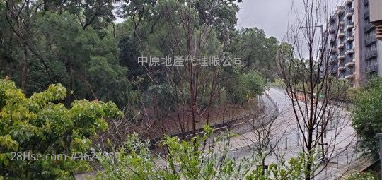 天鑽 售盤 1 房 377 平方呎 天鑽 售盤 1 房 377 平方呎