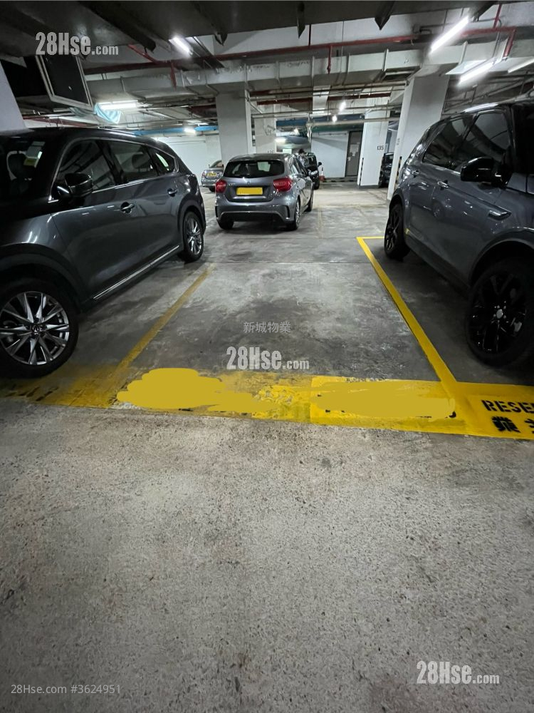 Whampoa Garden Rental