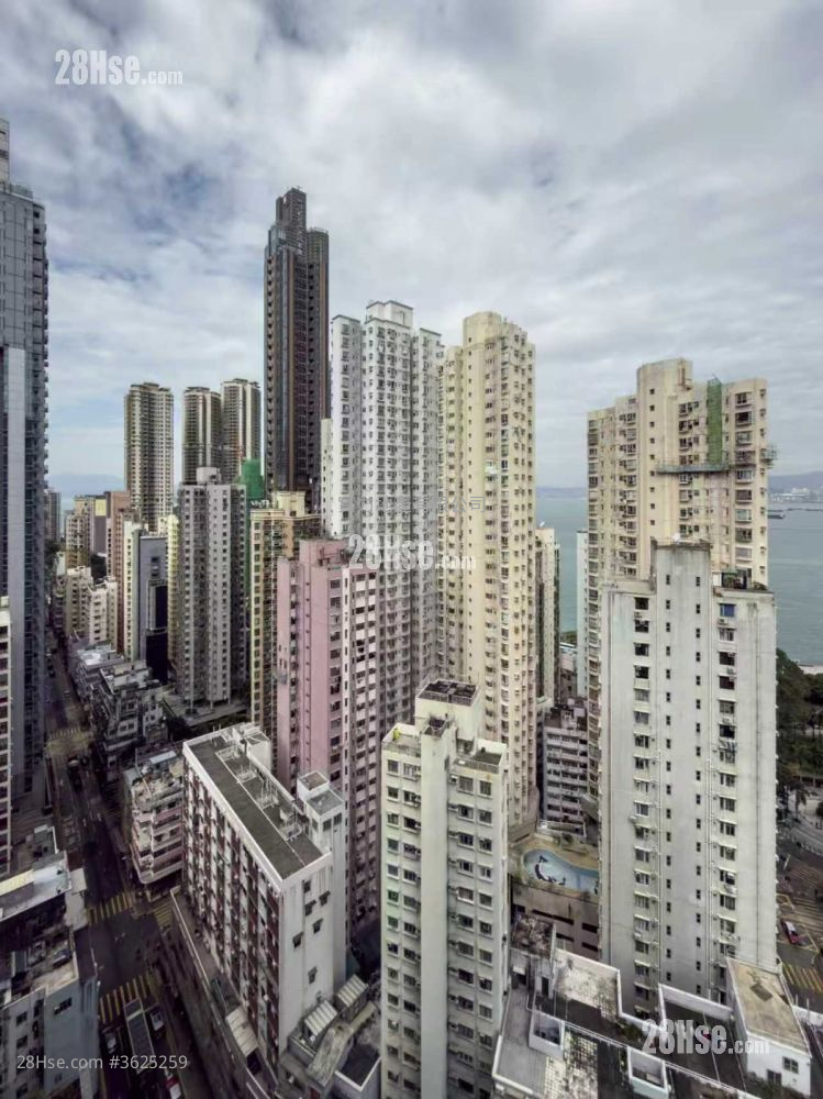 Kennedy 38 Rental 1 Bedroom , 1 Bathroom 287 ft² Kennedy 38 Rental 1 Bedroom , 1 Bathroom 287 ft²