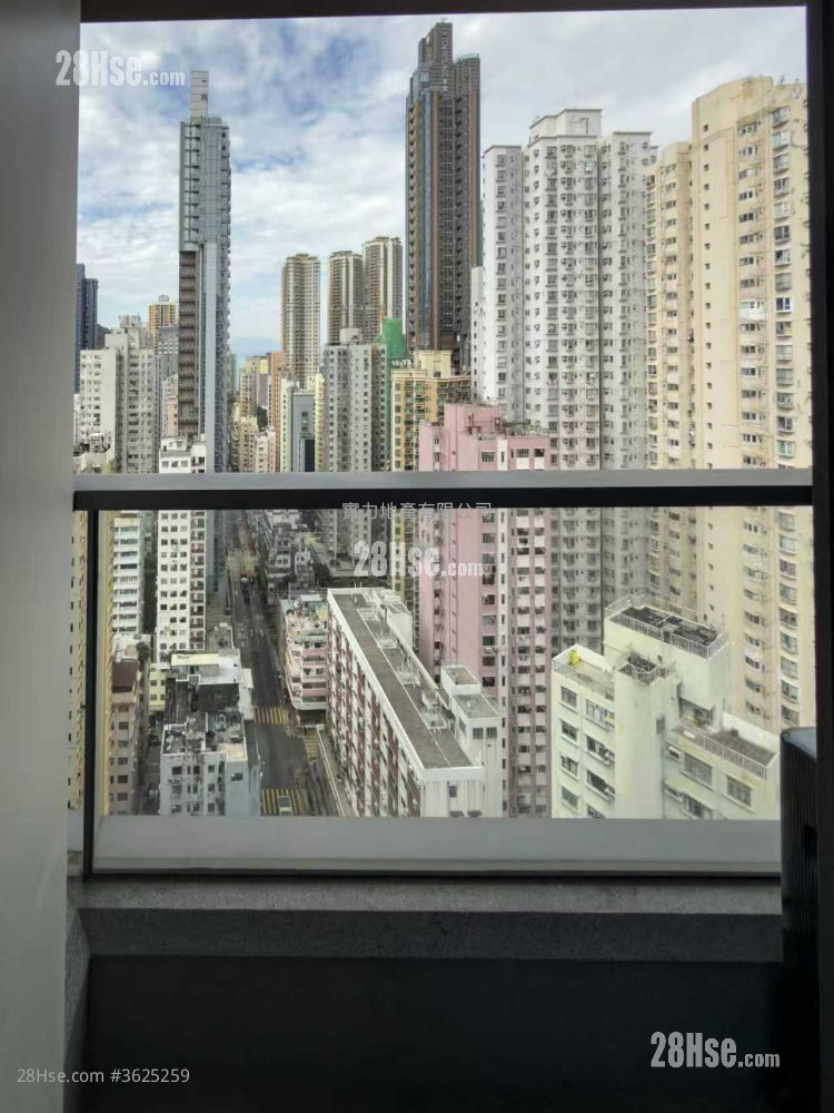 Kennedy 38 Rental 1 Bedroom , 1 Bathroom 287 ft² Kennedy 38 Rental 1 Bedroom , 1 Bathroom 287 ft²