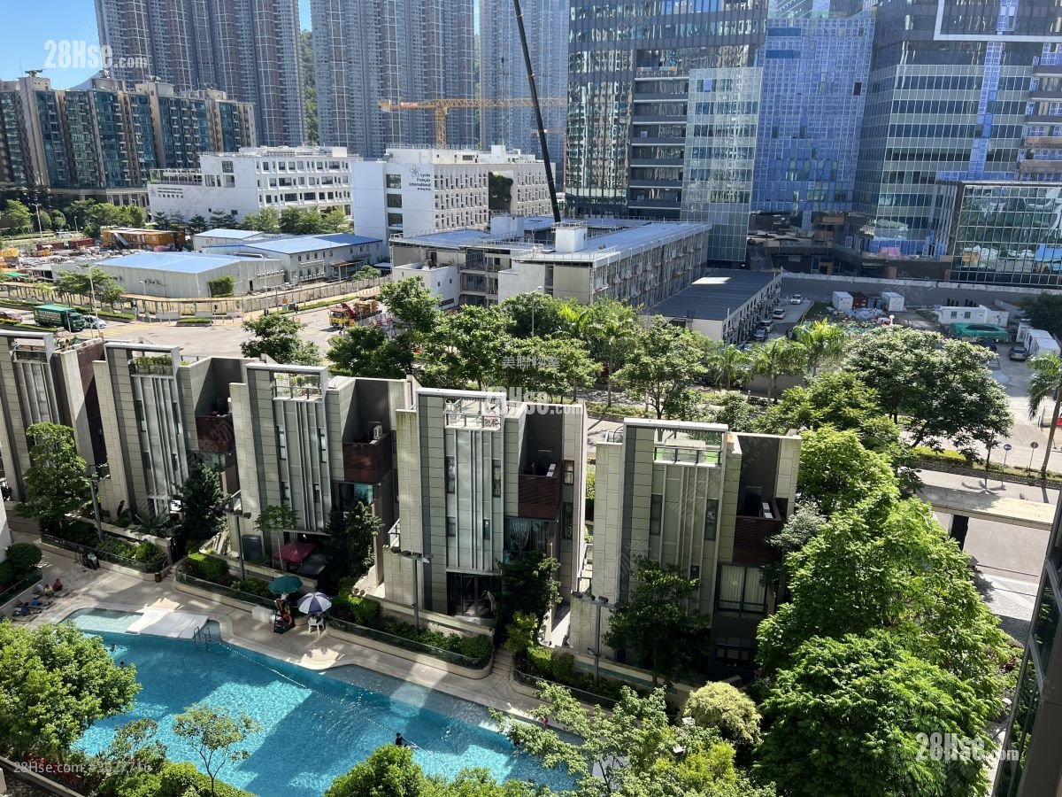 天晉 售盤 1 房 , 1 浴室 362 平方呎