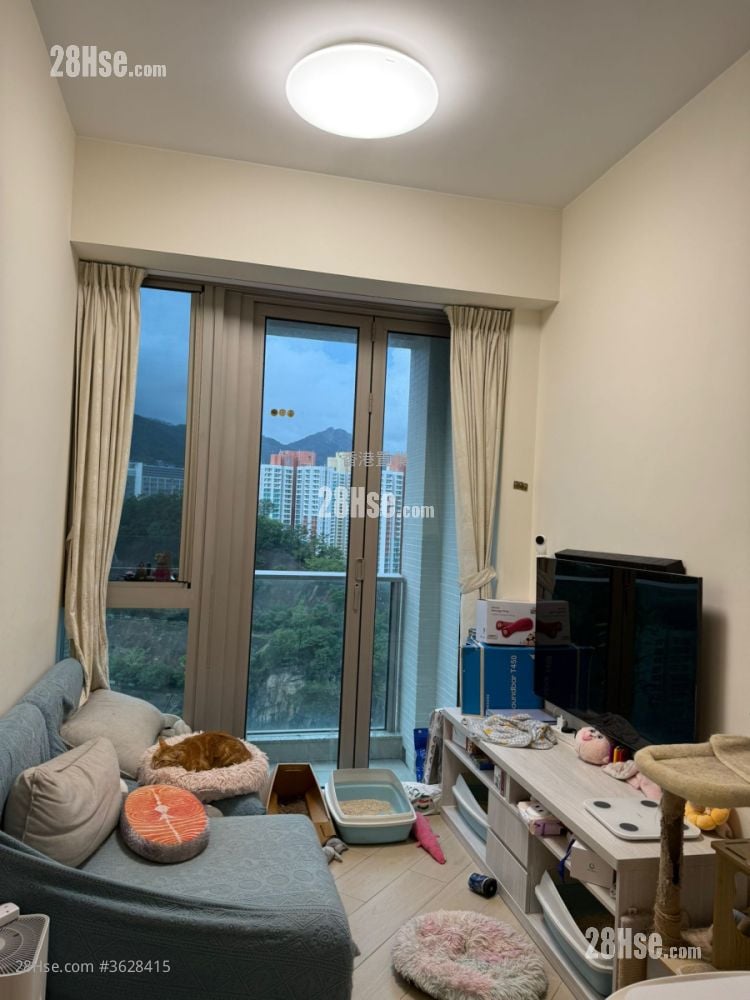 Madison Park Rental 1 Bedroom , 1 Bathroom 301 ft²