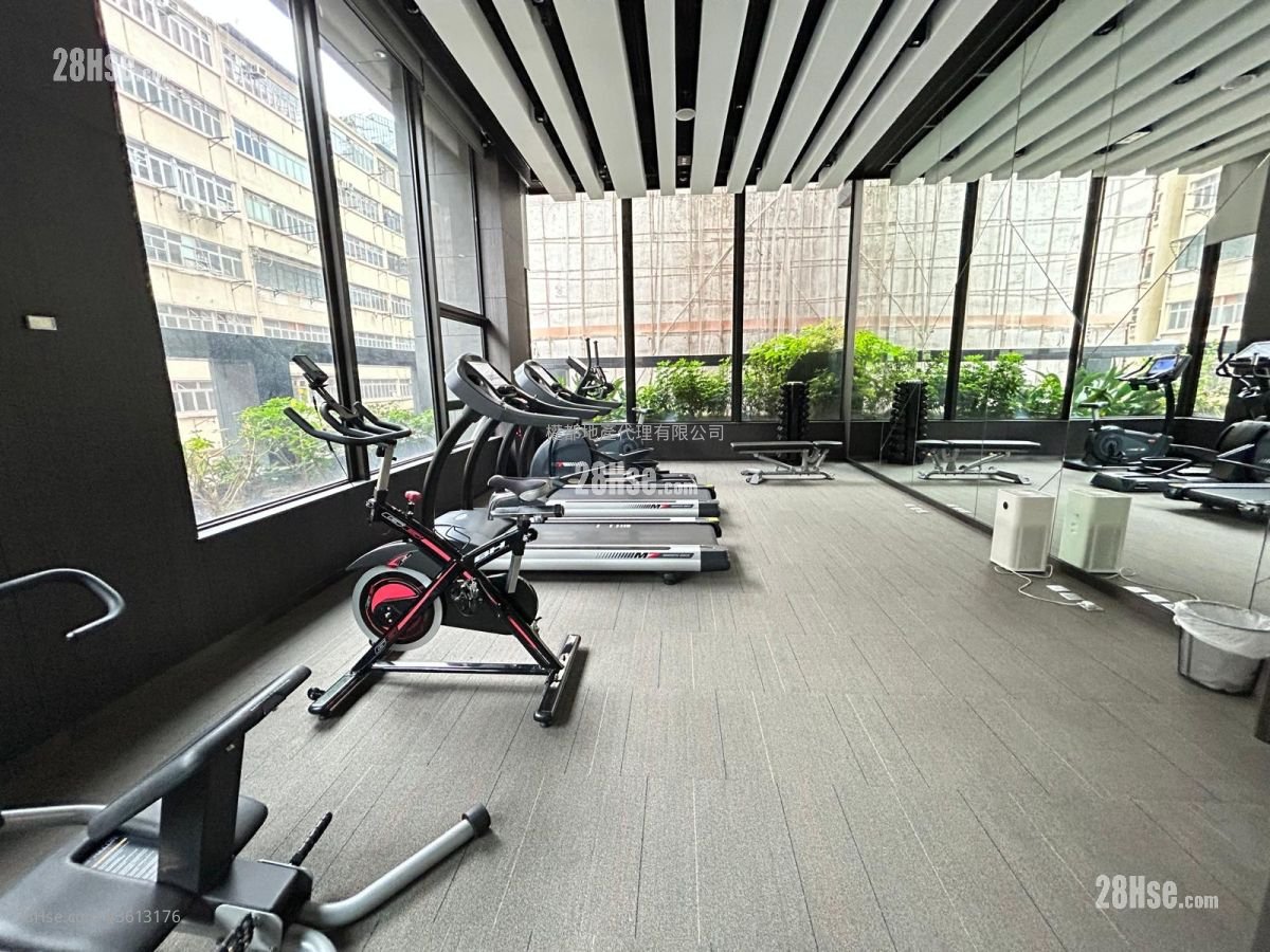 The Amused Rental 1 Bedroom , 1 Bathroom 299 ft²