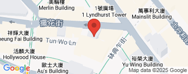 合成商業大廈  物業地址