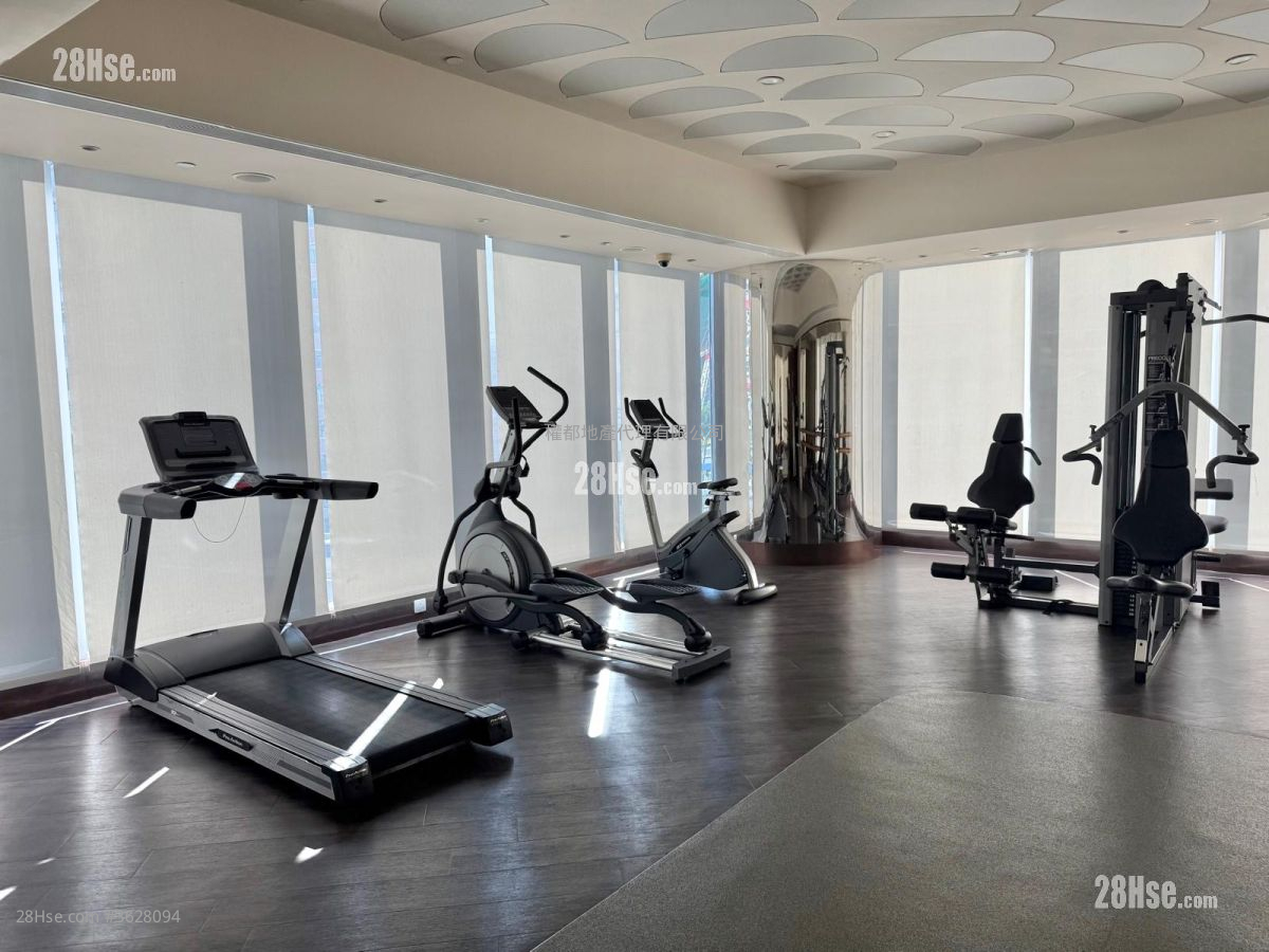 City Hub Rental Studio , 1 Bathroom 278 ft²