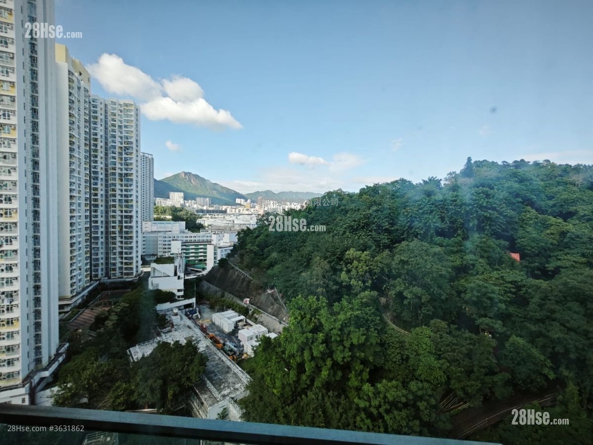 The Paddington Sell 1 Bedroom , 1 Bathroom 237 ft²