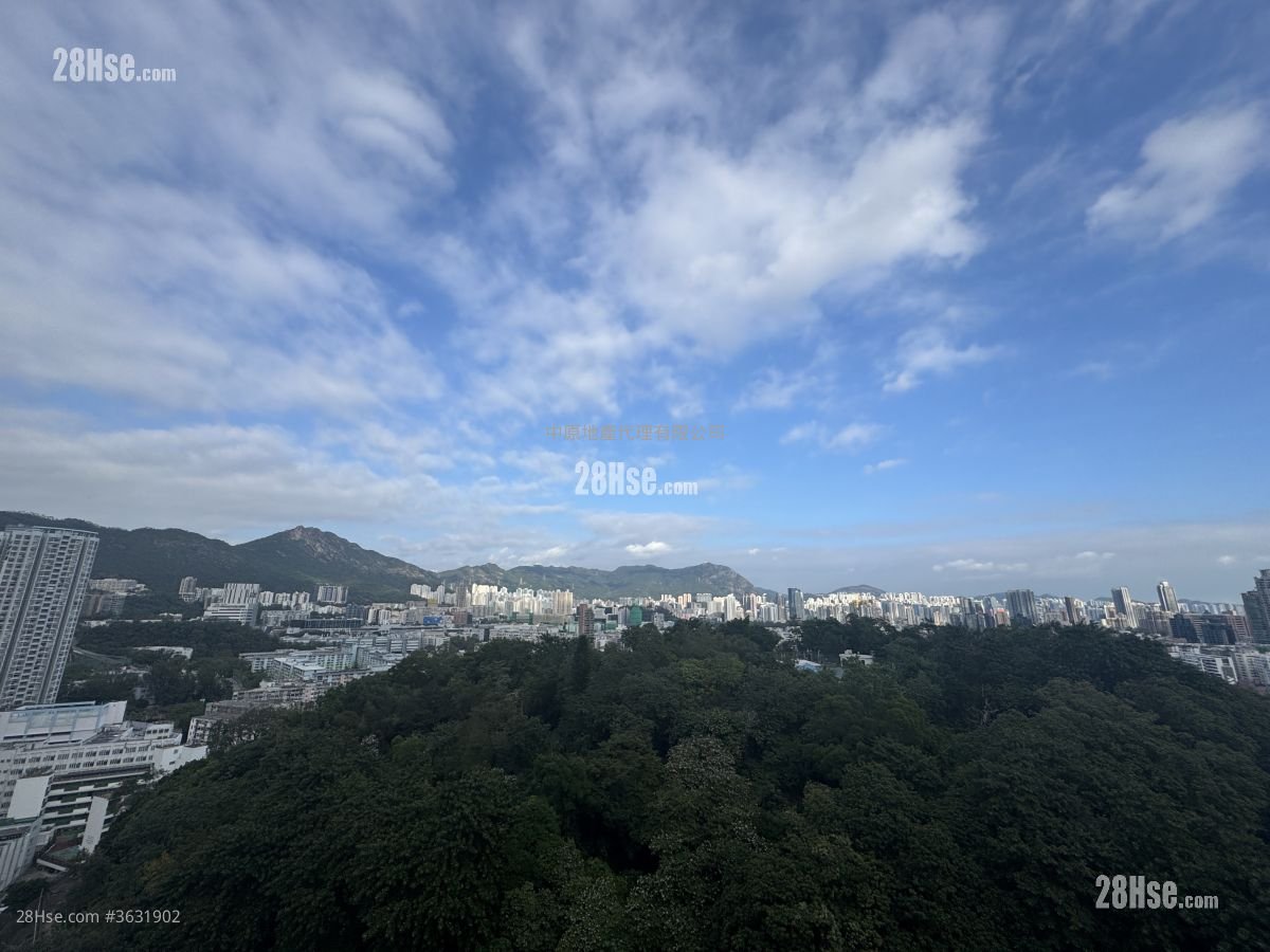 The Paddington Sell Studio 191 ft²