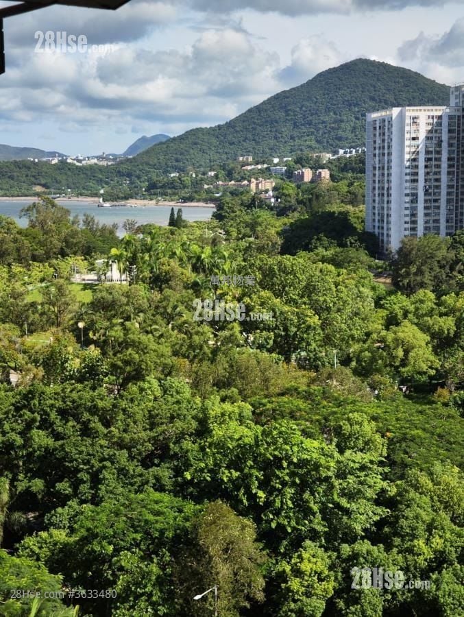 明雅苑 售盤 1 房 , 1 浴室 338 平方呎