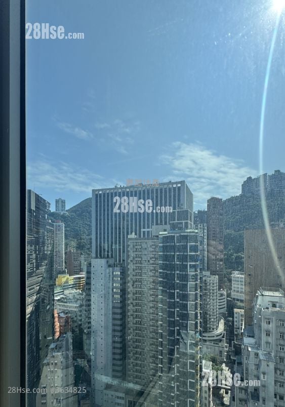 The Avenue Rental 1 Bedroom , 1 Bathroom 445 ft²