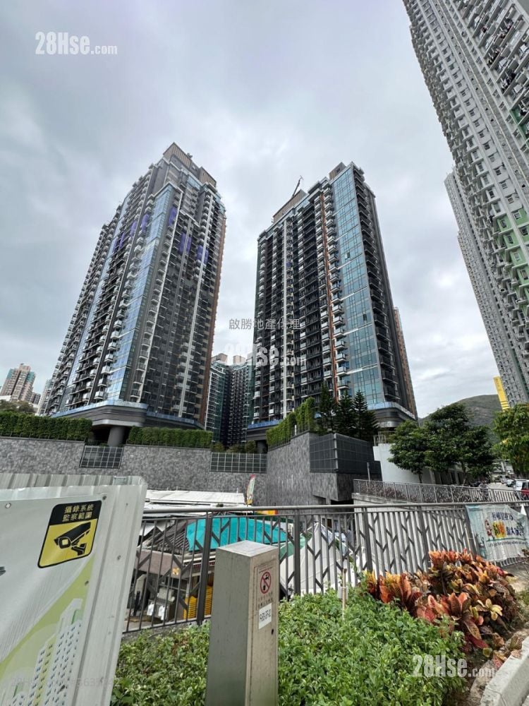 Novo Land 售盤 1 房 , 1 浴室 292 平方呎