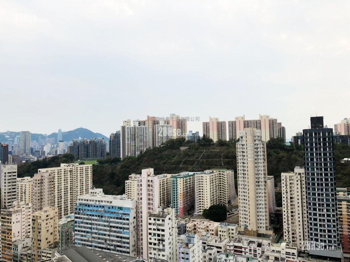 瑧尚 租盤 1 房 , 1 浴室 319 平方呎