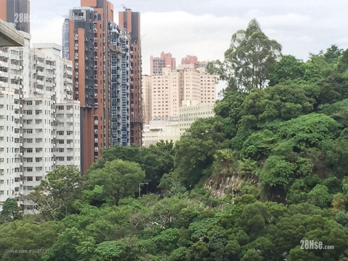 金龍大廈 售盤 3 房 , 2 浴室 1,143 平方呎